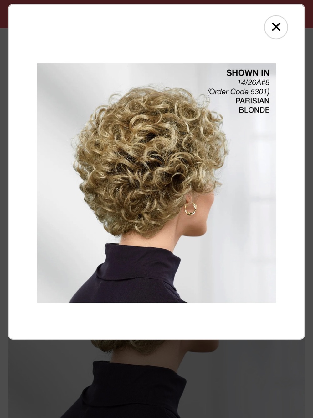😎😎😎PAULA YOUNG FRANCIE WIG NWT Blonde Short Layered Wig - Picture 7 of 7